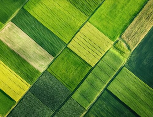 Le Vaucluse s’engage pour des circuits courts durables