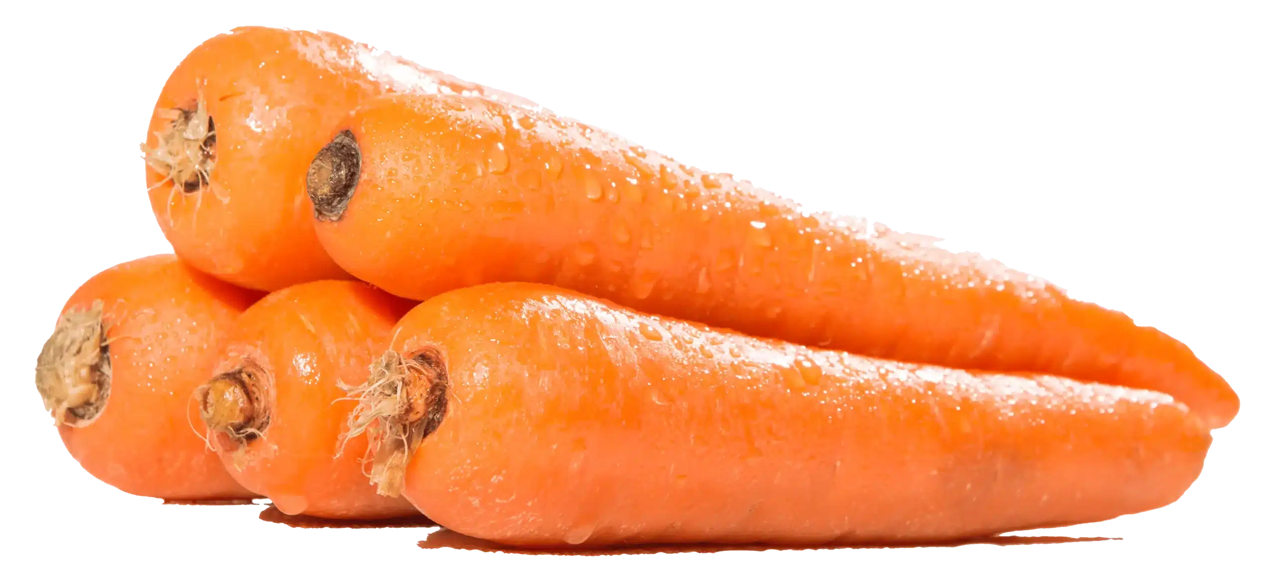 Carottes fraîches de couleur orange, présentées en légumes de saison.