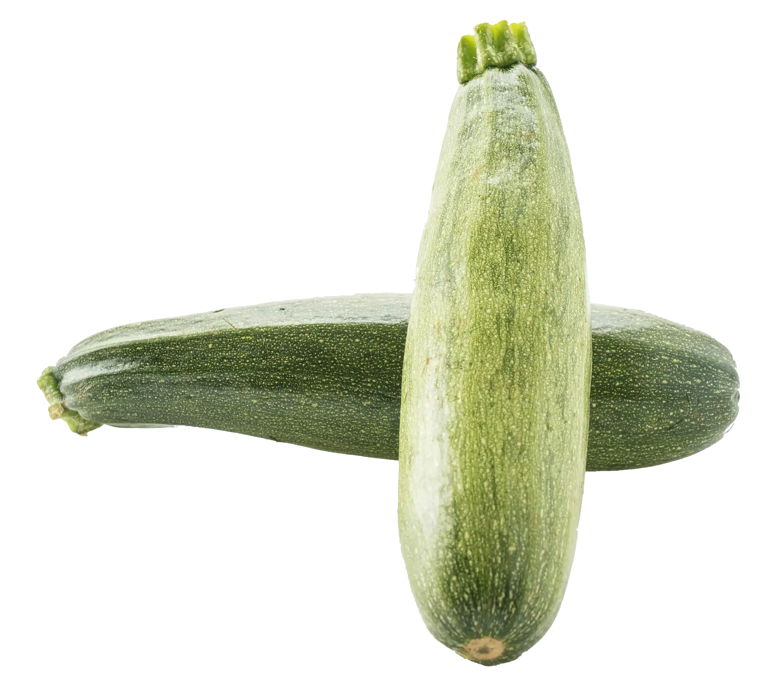 Courgettes fraîches entières, de couleur verte, présentées comme légumes de saison.