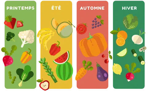 saison-agriculture Illustration des fruits et légumes classés par saison, mettant en valeur la production agricole au fil de l’année.