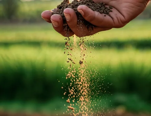 Le Vaucluse renforce ses circuits courts