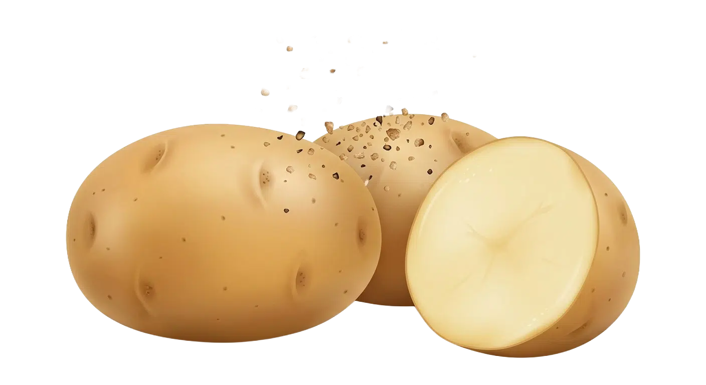 pommes_terre