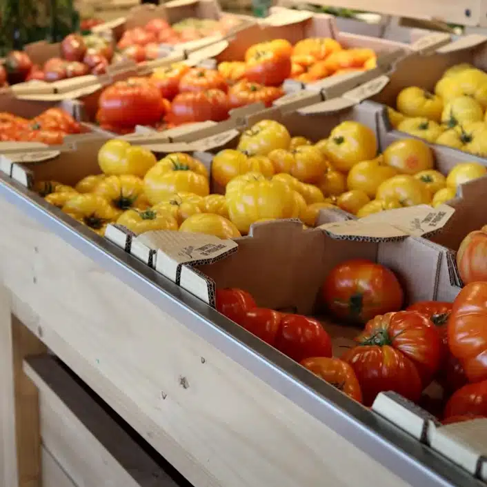 tomates